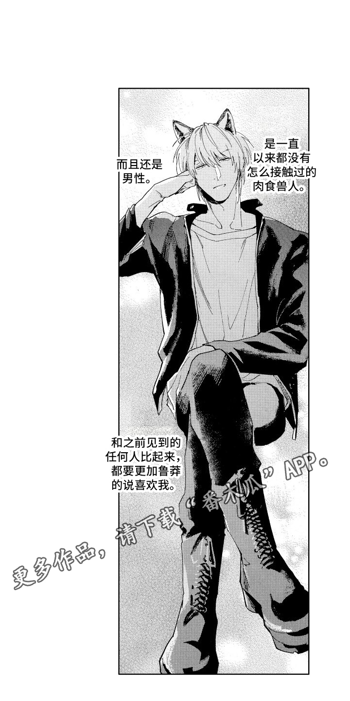 狼先生和兔小姐的故事完整版漫画,第11章：查询1图