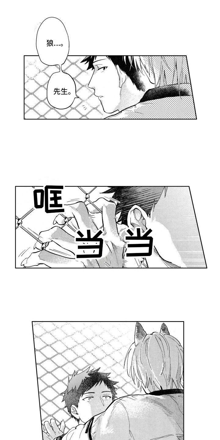 狼先生全部视频漫画,第6章：确认1图