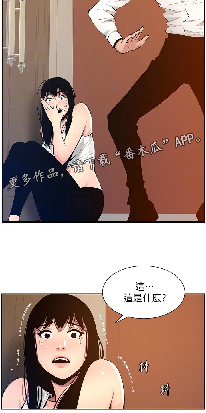 假爸爸全部视频漫画,第204章：昔日的大气2图