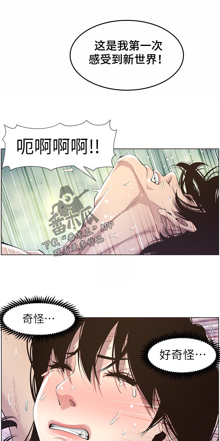 假爸爸免费在线看漫画,第102章：失礼1图