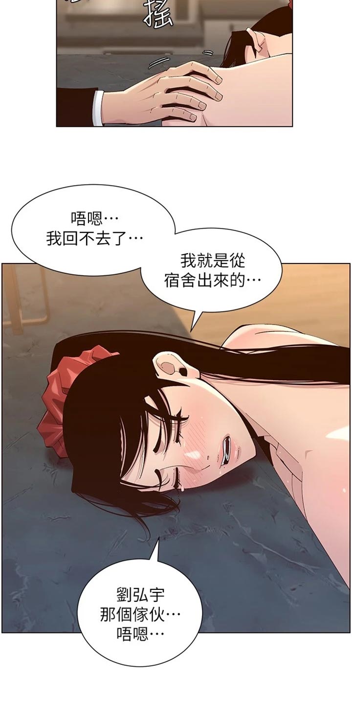 假爸爸贾冰漫画,第229章：无家可归1图