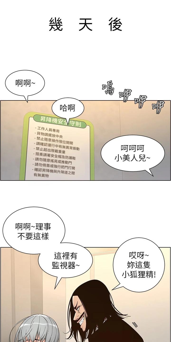 甲把白糖当成砒霜投放于乙的食物中漫画,第238章：逮捕1图