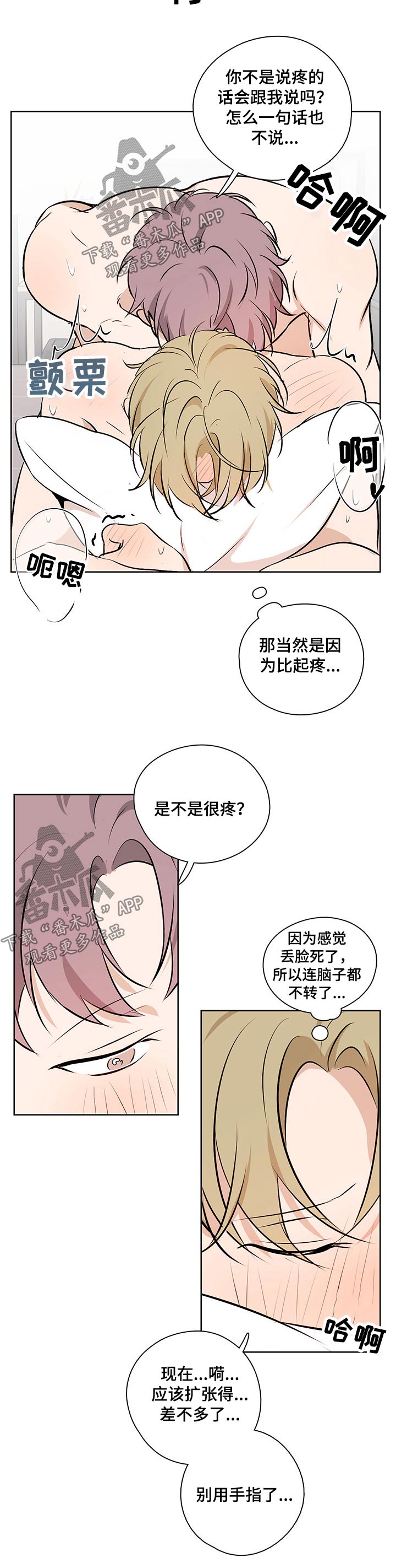 沈端良简介漫画,第54章：【番外】极限2图