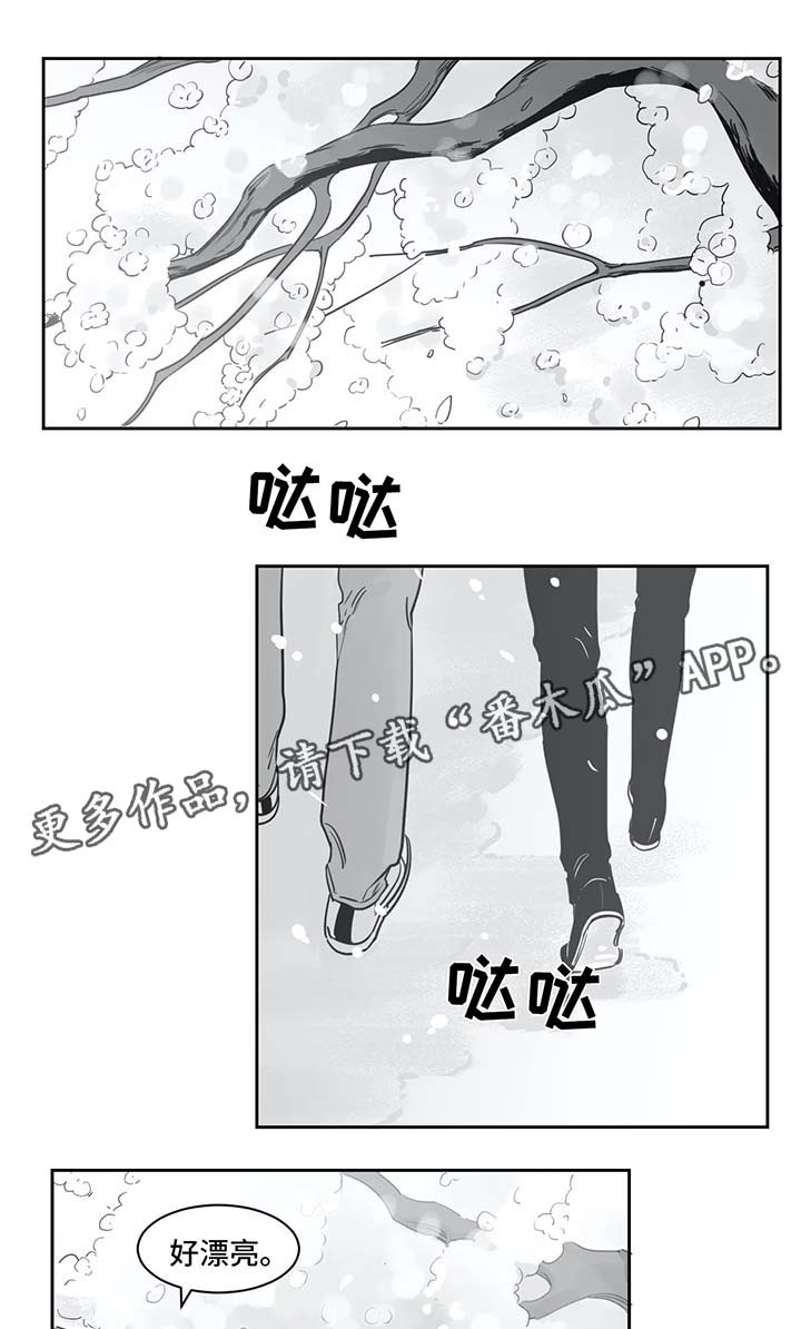 另类的邻居漫画,第37章：同居1图