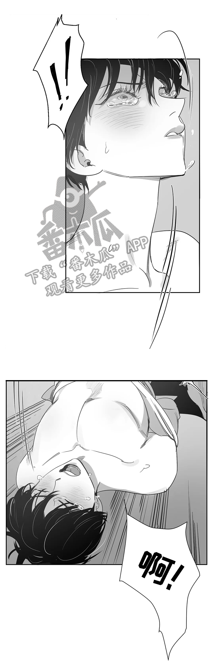 另类邻居关系详解漫画,第55章：真正的目的2图