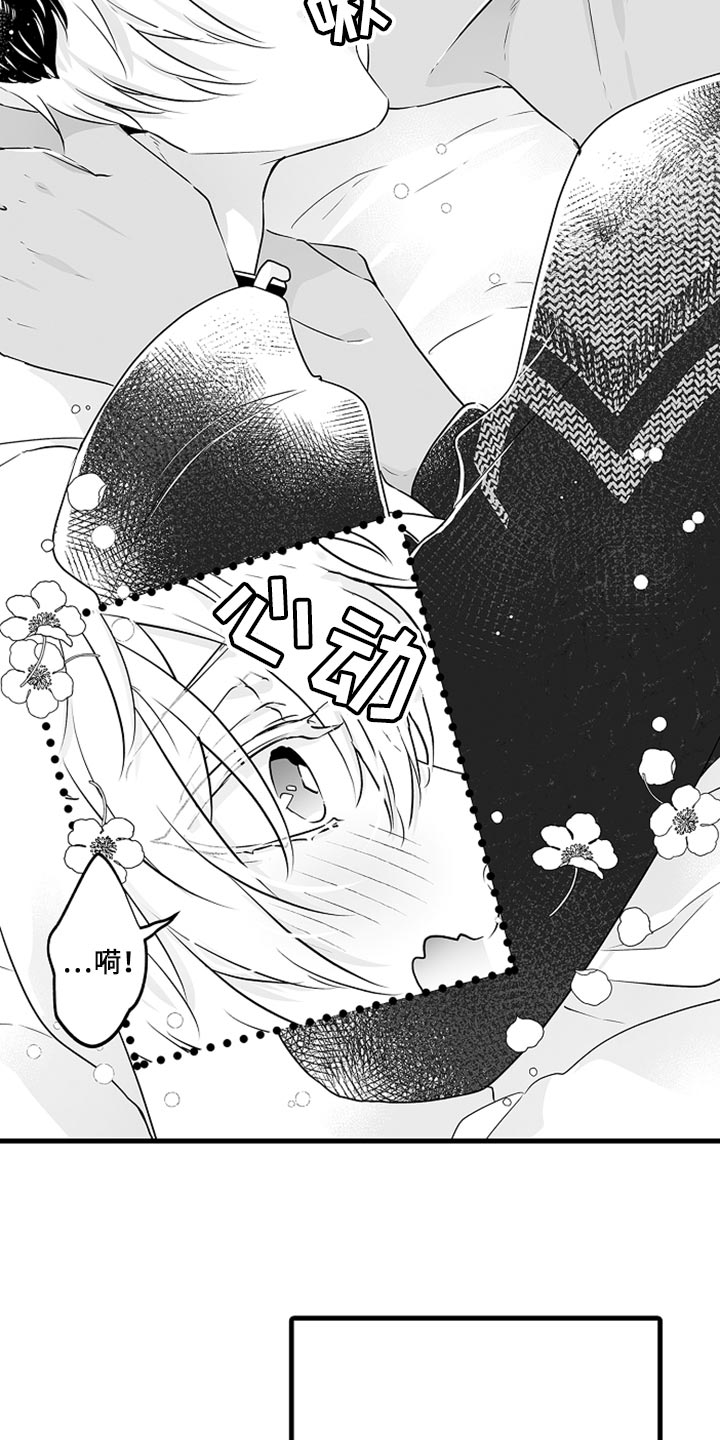 森林中的熊漫画,第27章：多费点心思2图