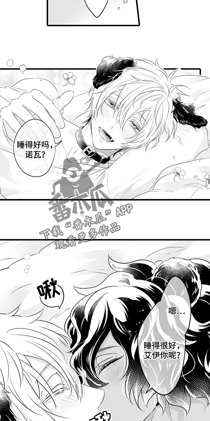 森林中的熊漫画,第27章：多费点心思1图
