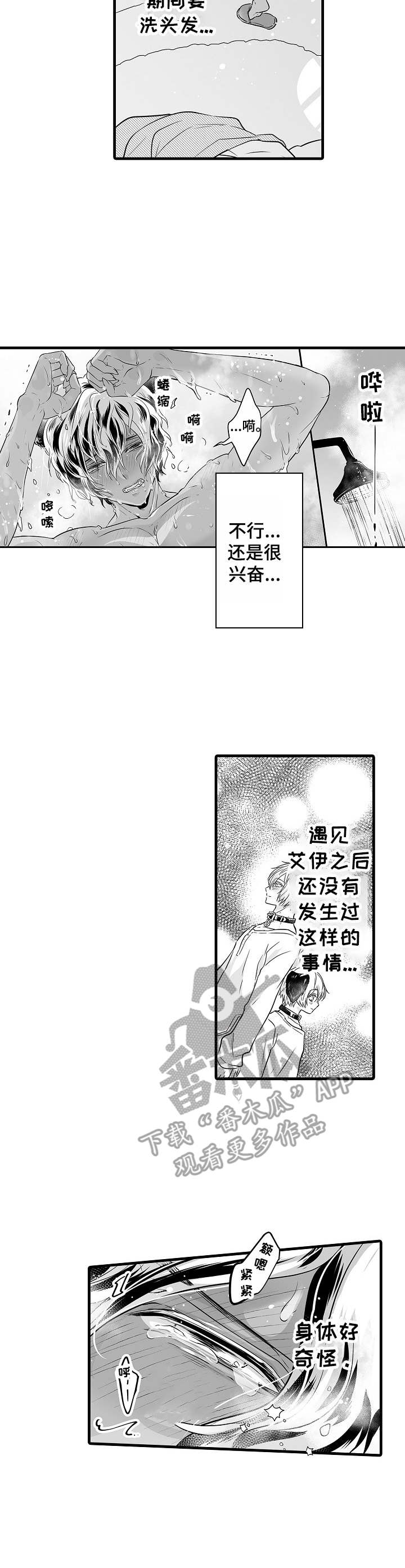 森林中的熊漫画,第7章：发狂2图