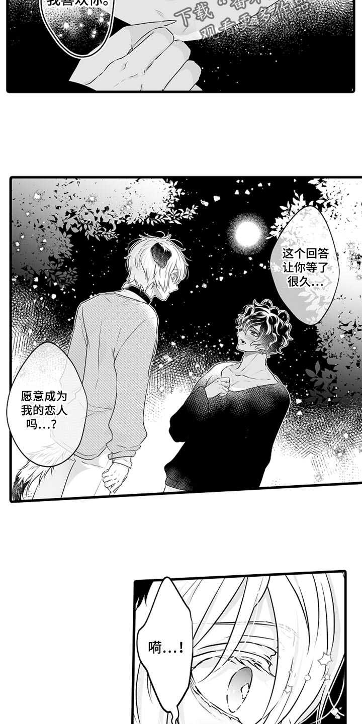 森林中的熊漫画,第26章：告白2图