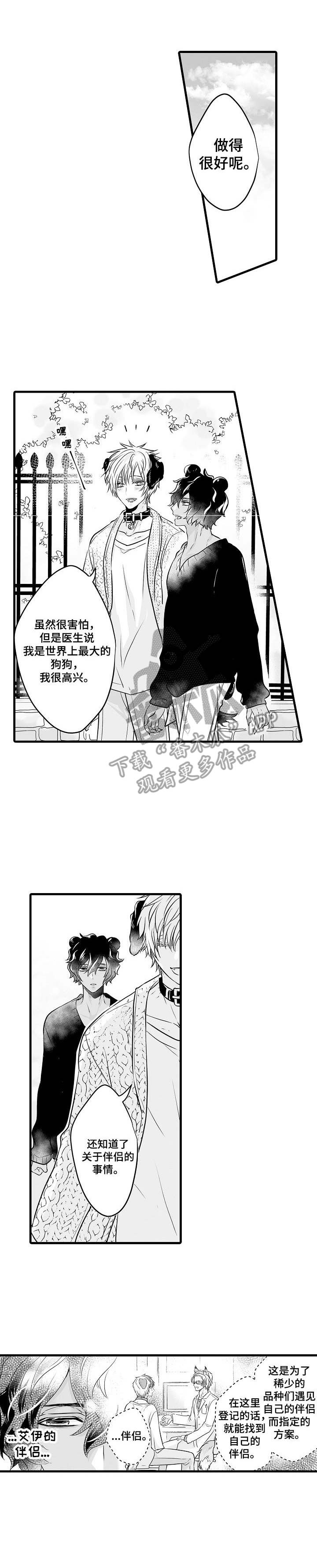 森林中的熊漫画,第5章：依靠1图