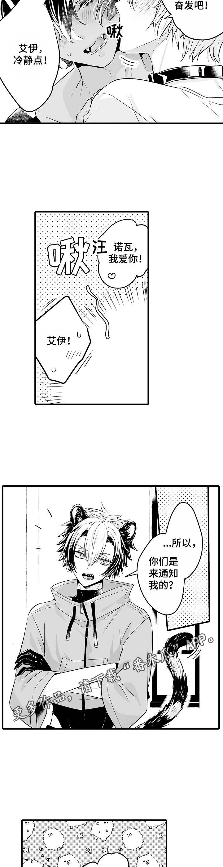 森林中的熊漫画,第11章：操心1图