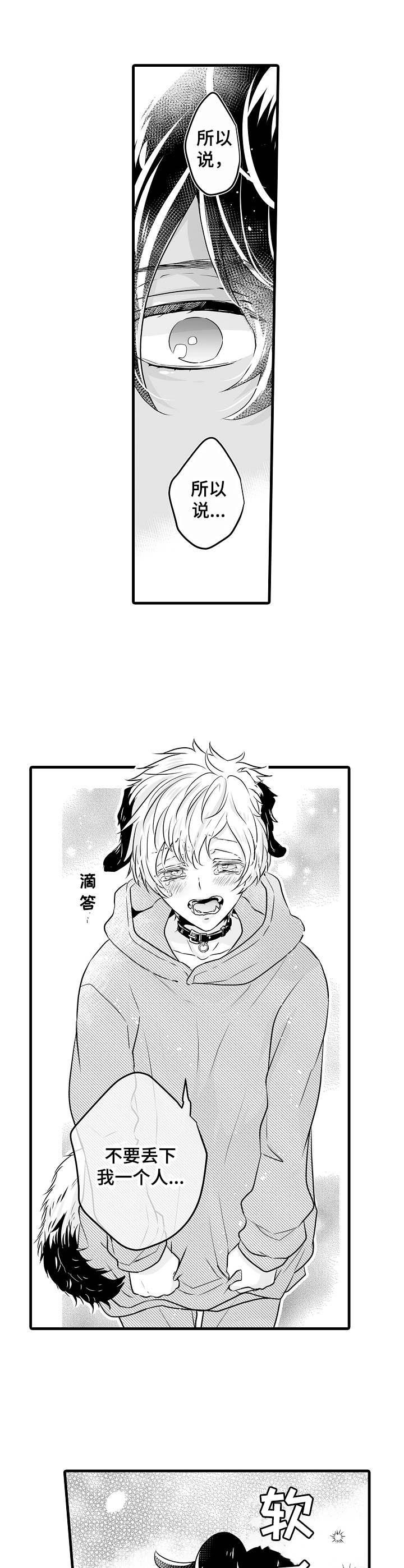 森林中的熊漫画,第2章：冬眠1图