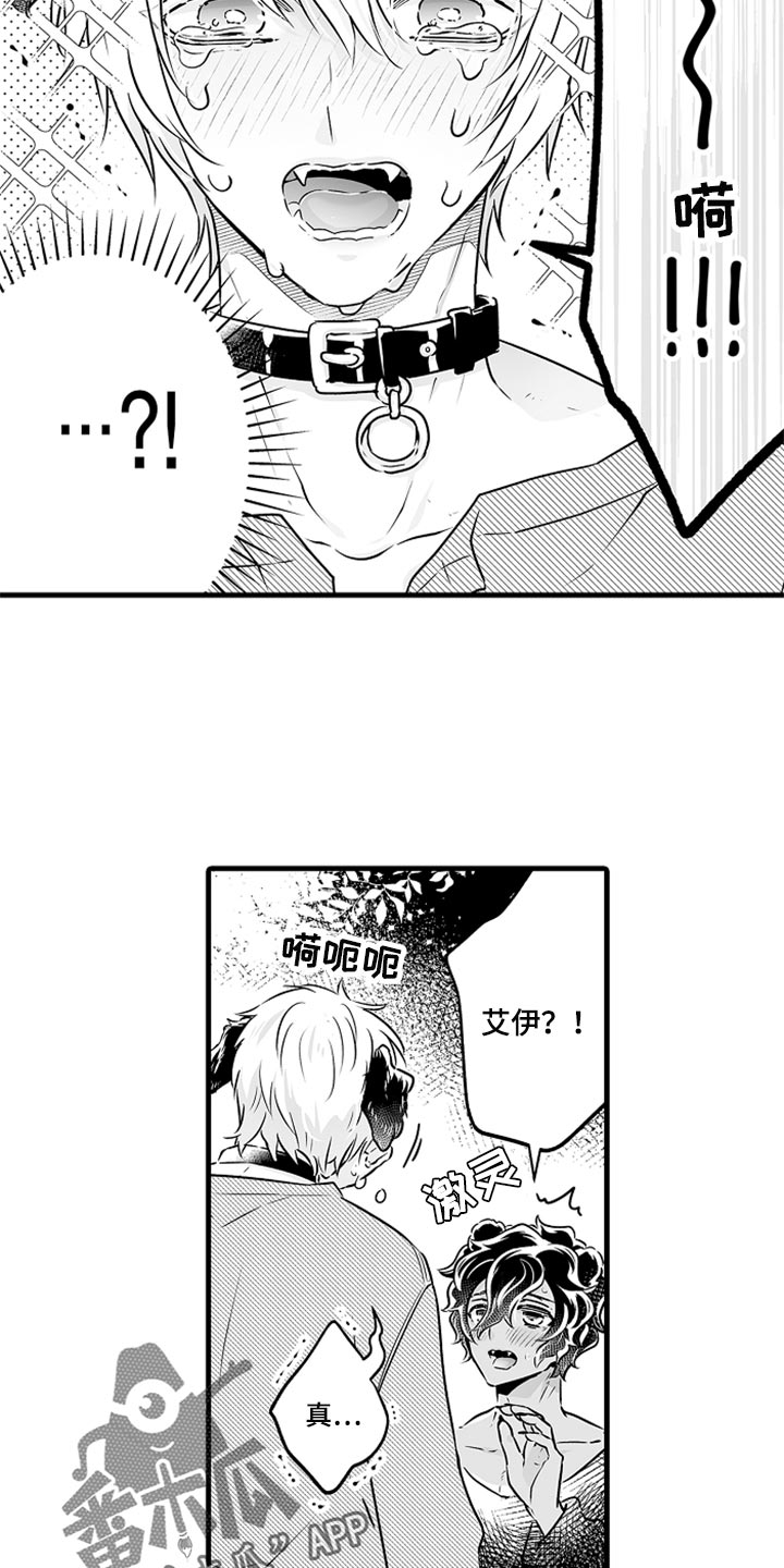 森林中的熊漫画,第26章：告白1图