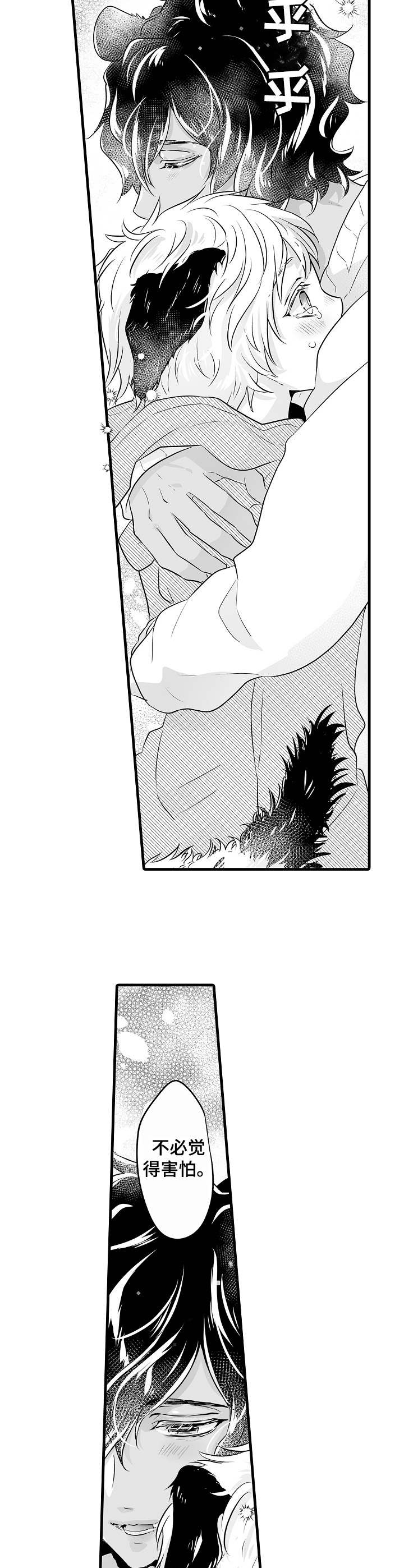 森林中的熊漫画,第2章：冬眠2图