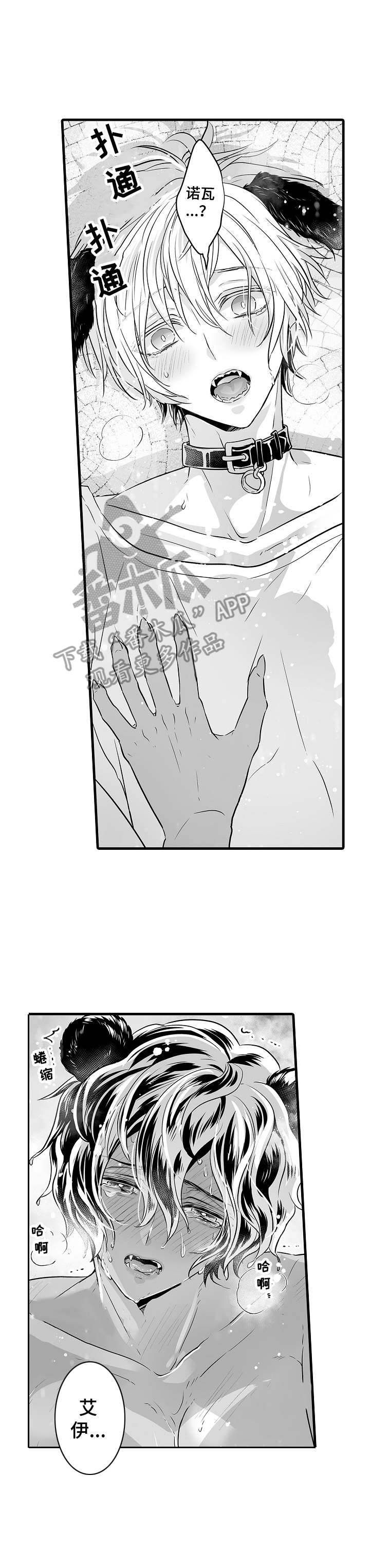 森林中的熊漫画,第7章：发狂2图