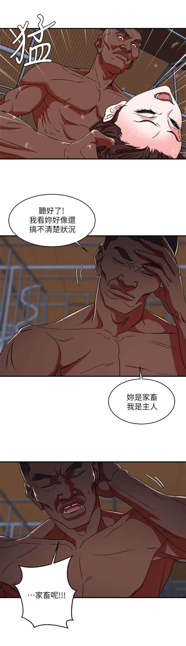 韩天里漫画,第7章：宠物2图