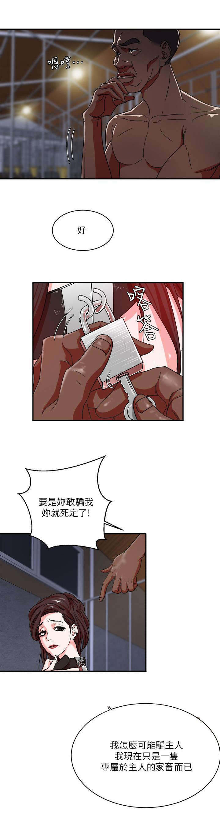 旱田六统一漫画,第7章：宠物1图