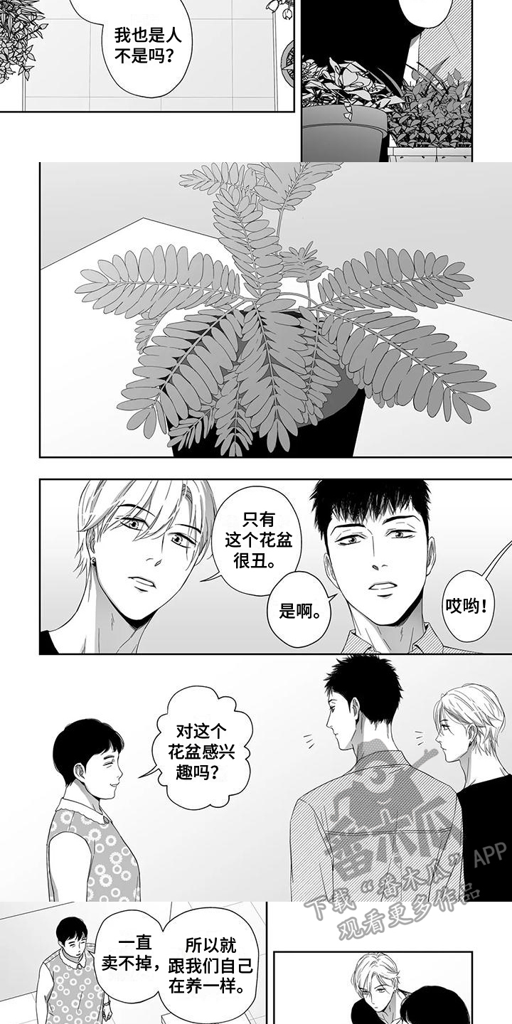 陌生的城市陌生的你完整版漫画,第21章：盆栽1图