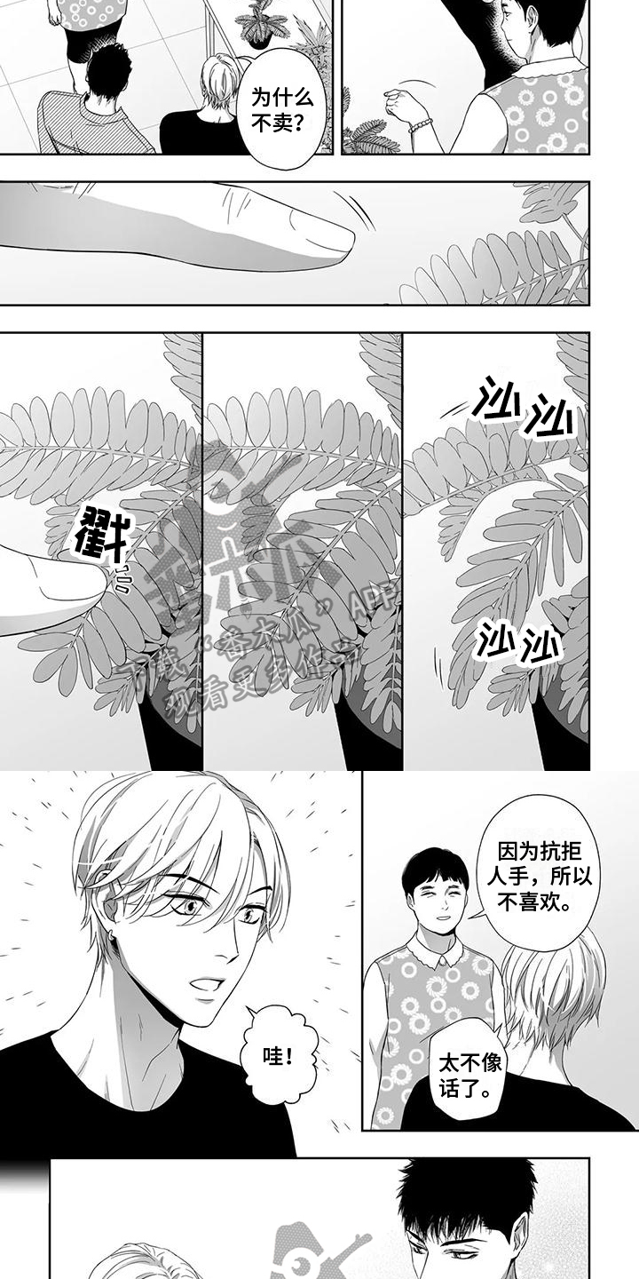 陌生的城市陌生的你完整版漫画,第21章：盆栽2图