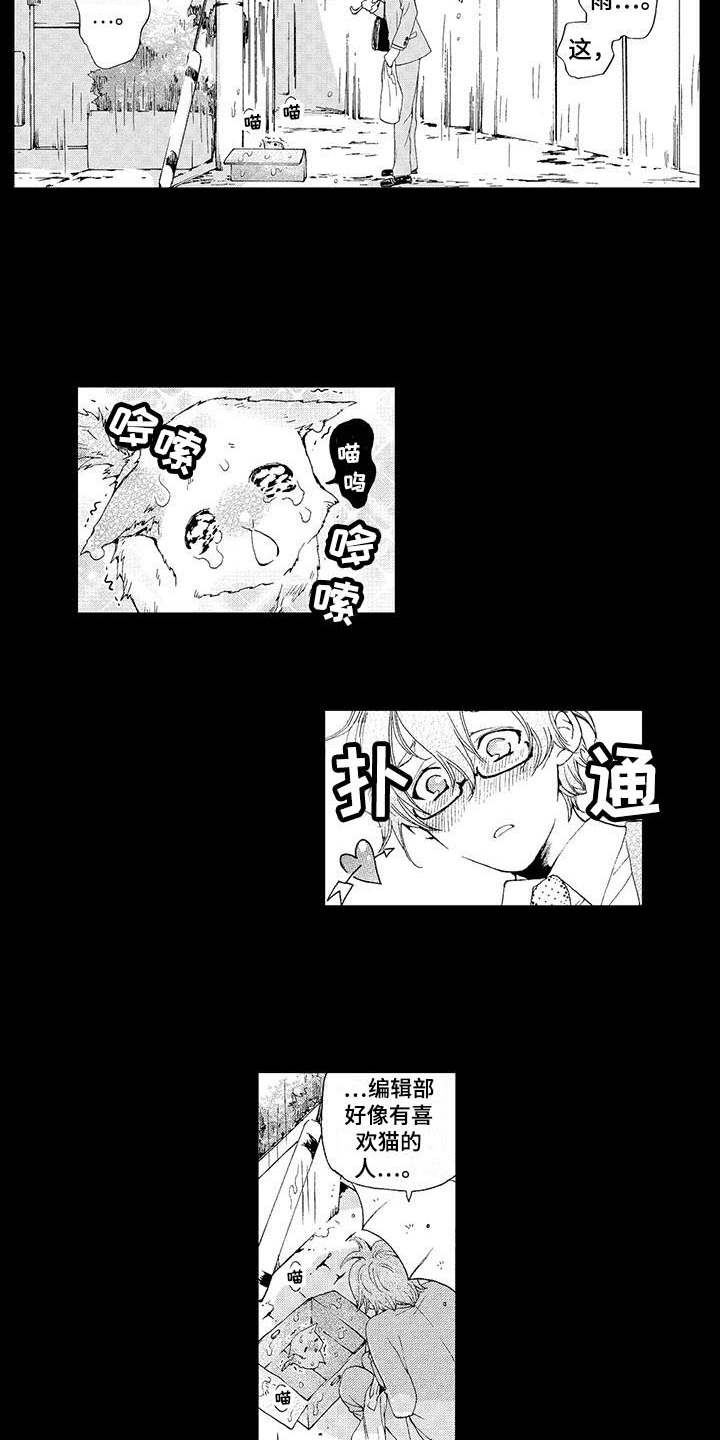 为作品而努力和奋斗漫画,第2章：小猫2图