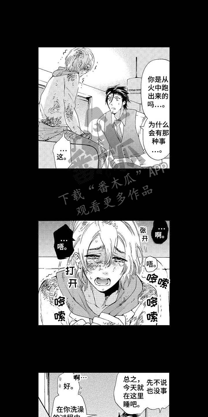 向梦而生作品漫画,第11章：凄惨1图