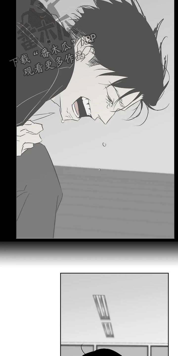 孽缘在线免费观看漫画,第28章：一直回荡1图
