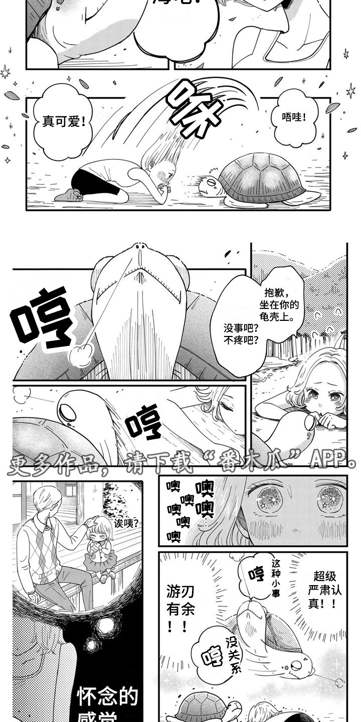 荒岛事务所漫画,第7章：海龟1图