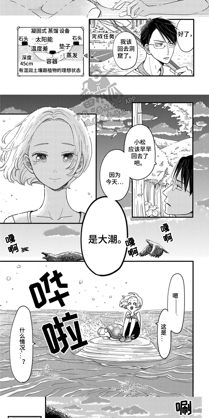 荒岛事务所漫画漫画,第7章：海龟2图