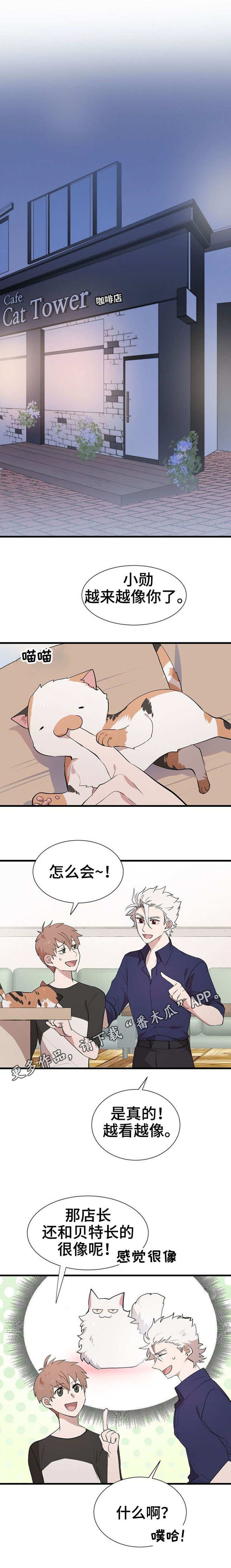 魔力预警漫画,第28章：帮忙2图