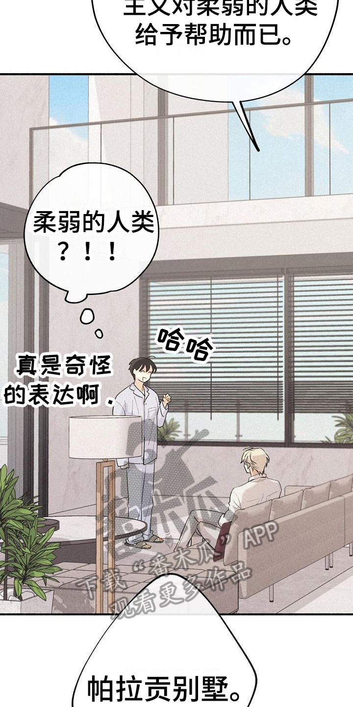 归还借款怎么写漫画,第7章：家没了2图