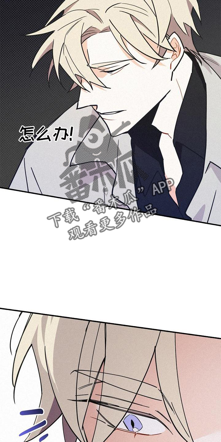 归还世界给你免费观看全集漫画,第36章：混血2图