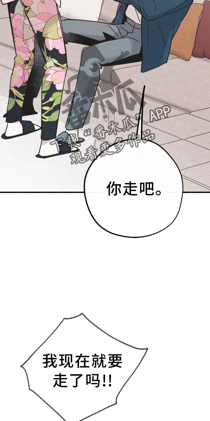 归还者的魔法要特别动漫漫画,第62章：关系2图