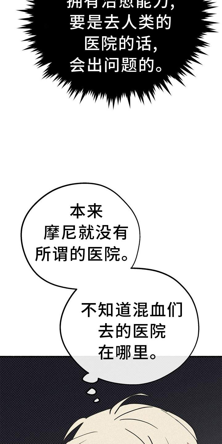 归还用英语怎么说漫画,第36章：混血1图