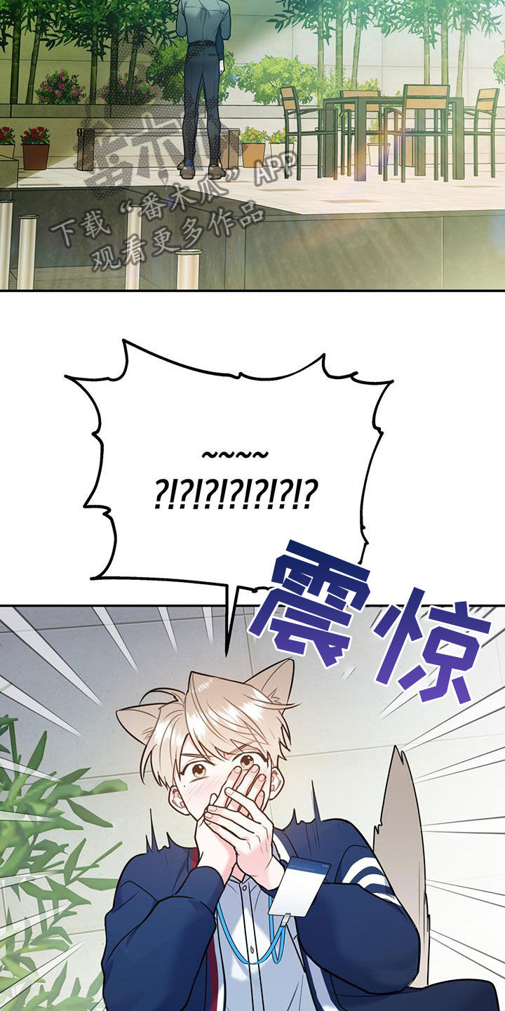 欢喜冤家电影美国无删减免费看漫画,第85章：【第二季】偷偷跟踪1图