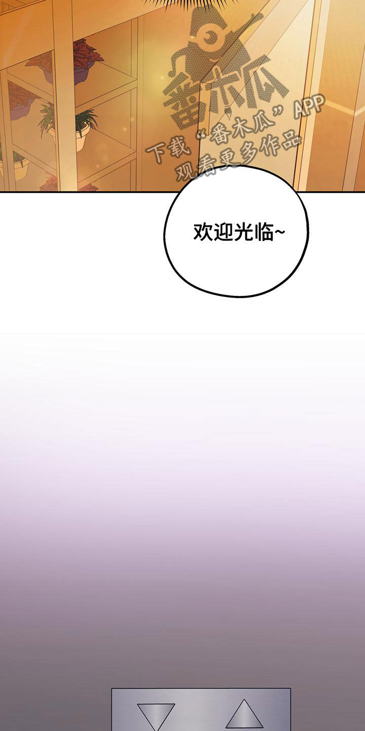 欢喜冤家电视剧全集在线观看漫画,第106章：【第二季】送花2图