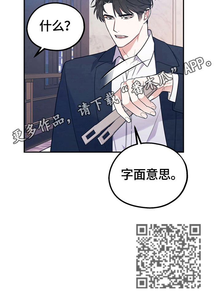 欢喜冤家小说全文在线阅读漫画,第20章：字面意思2图