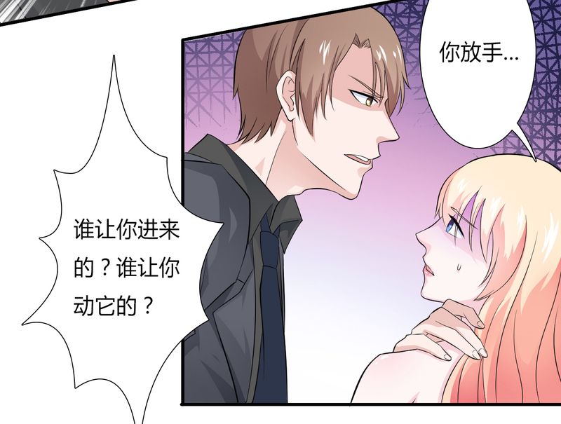 致命宠妻总裁拿命来小说阅读漫画,第27章：终身协议1图