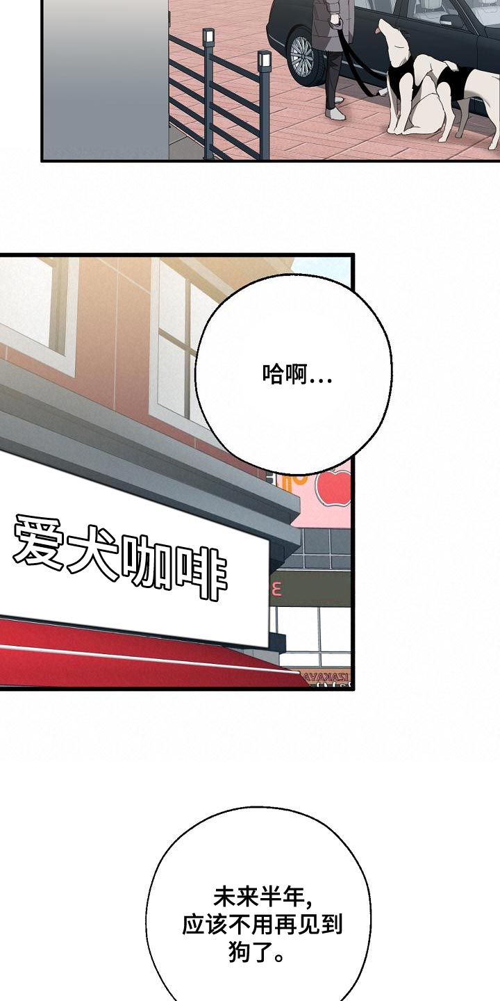 危险交换免费完整版漫画,第162章：固若金汤1图