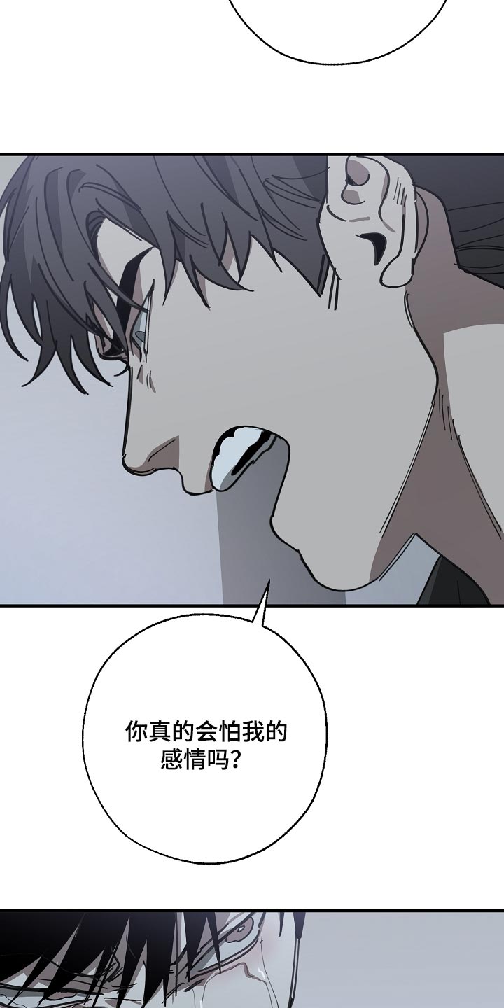 危险交换免费完整版漫画,第152章：自己确认看看！1图