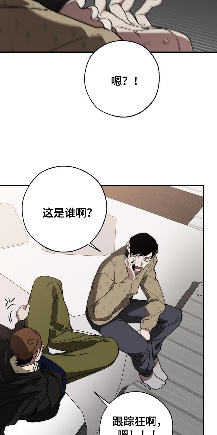 危险交换冰块漫画,第183章：该死的老虎1图