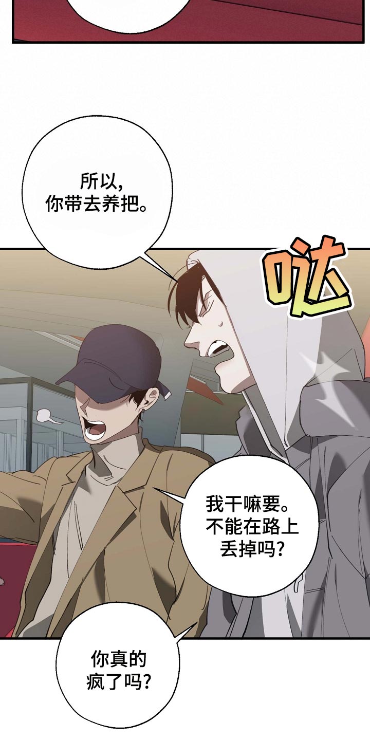 危险交换冰块漫画,第160章：拍广告1图