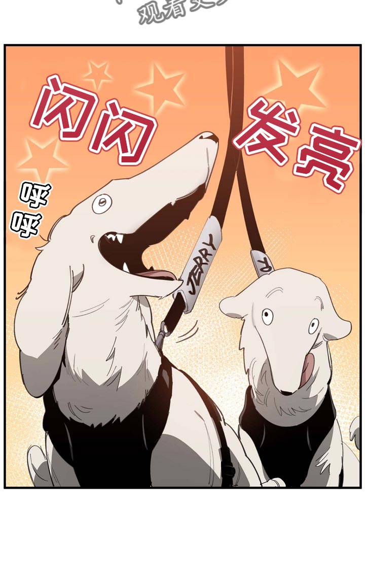 危险交换冰块漫画,第160章：拍广告2图