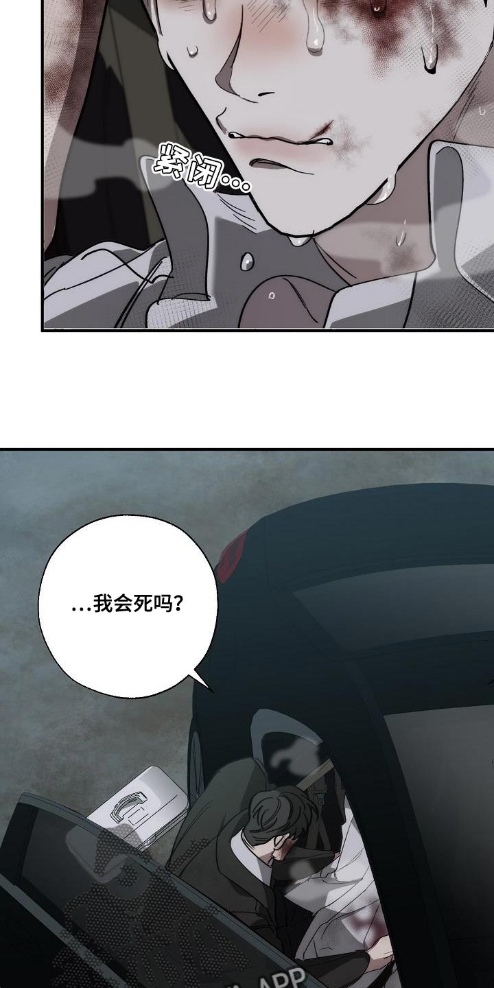 危险交换免费完整版漫画,第195章：以防万一1图