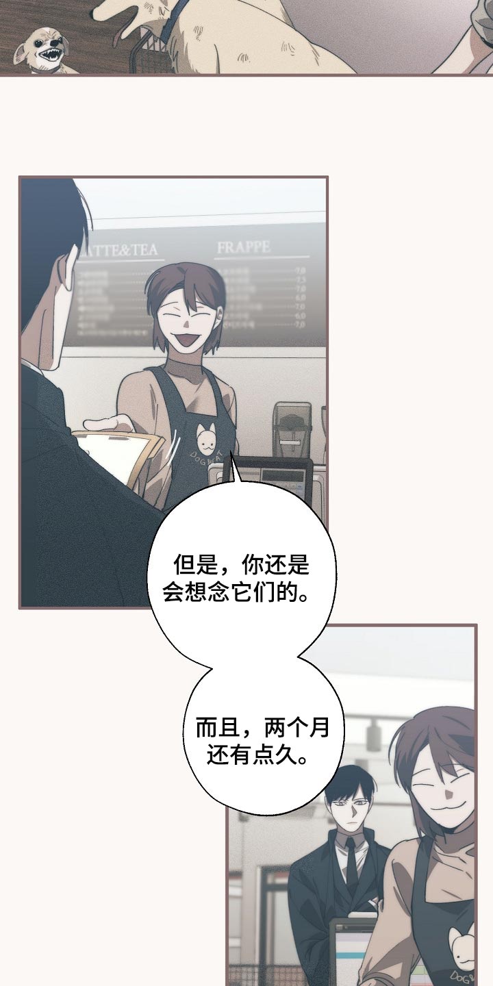 危险交换漫画,第127章：干脆杀了我不就好了2图