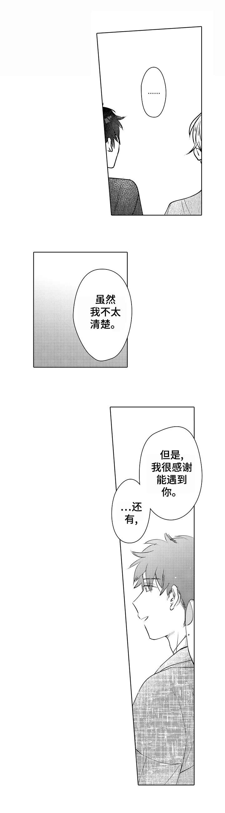 石油王的爱人漫画,第28章：庆典（完结）2图