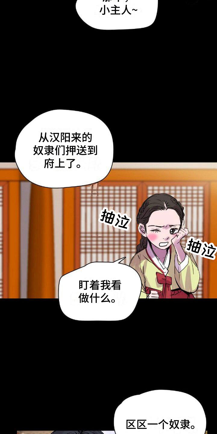 01寻找光明动画漫画,第27章：送回家2图