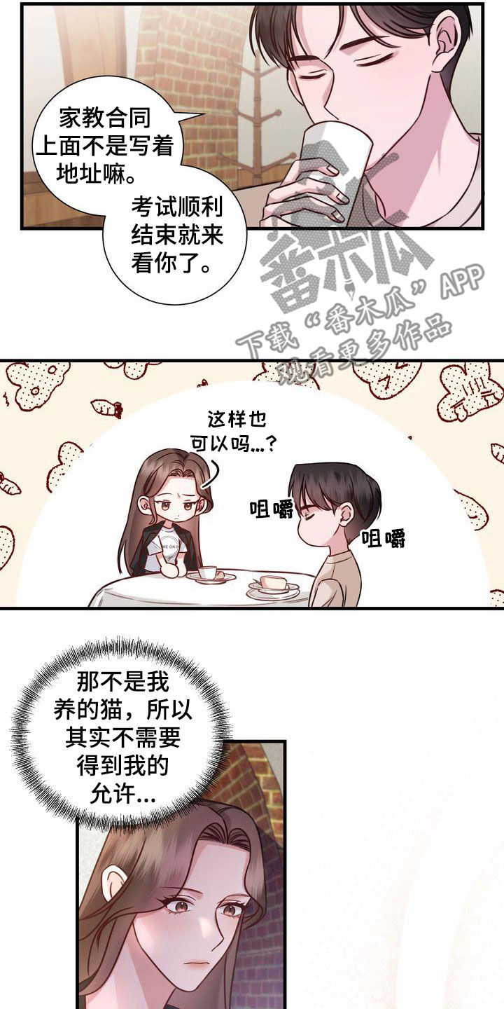 自信进化漫画,第19章：收留2图