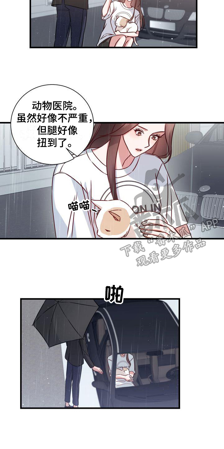 自信进化漫画,第18章：提议2图