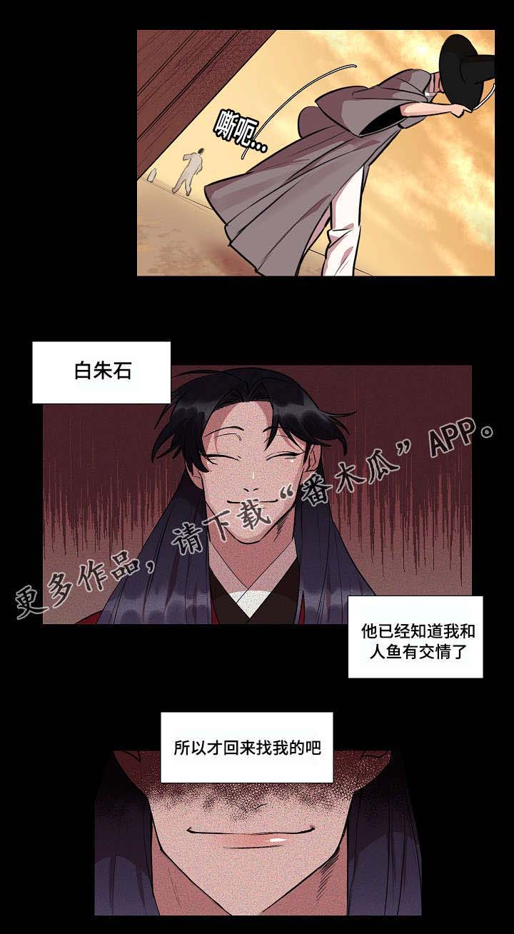 人鱼的命运漫画,第12章：因为我吗1图