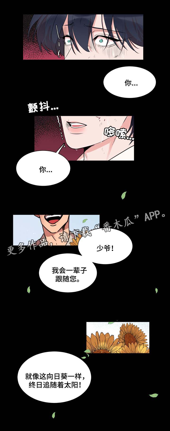 人鱼的泪水漫画,第58章：悲剧1图